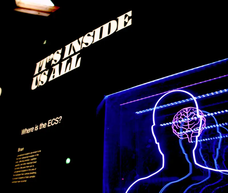 a lit sign with a human brain on it with the words 'It's inside us all'