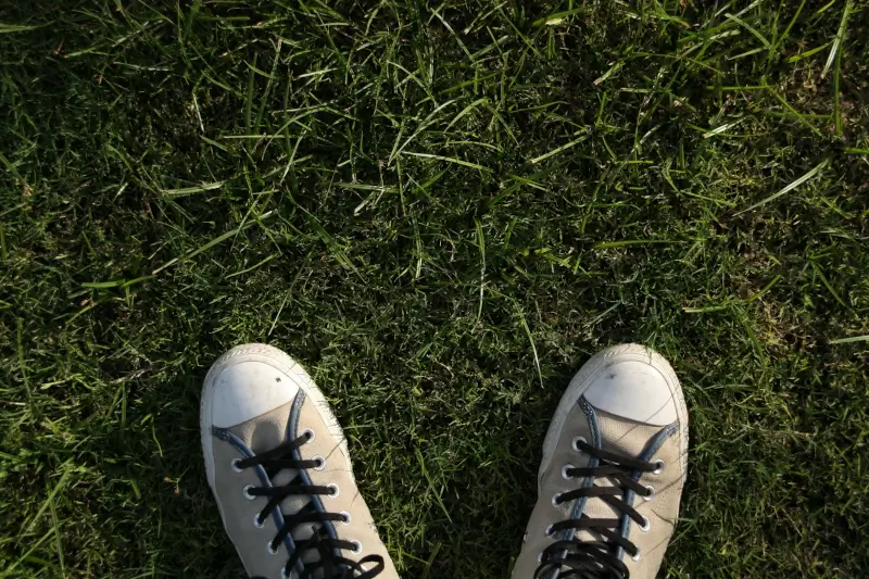 Shoes in a green, grassy field